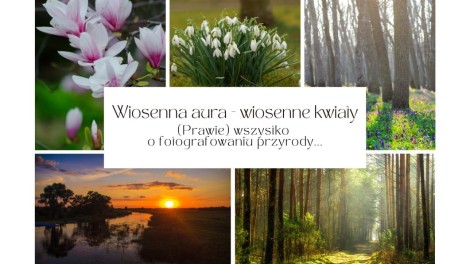 „Wiosenna aura – wiosenne kwiaty”