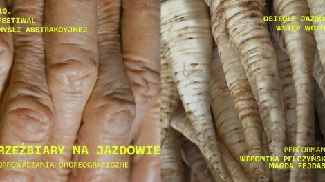 Rzeźbiary na Jazdowie – oprowadzania choreograficzne