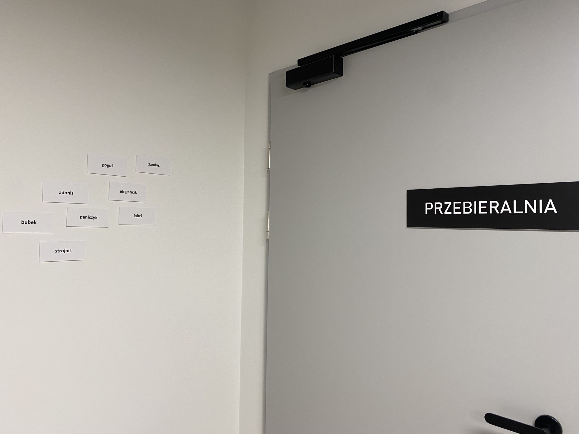 O czym oni gadają?